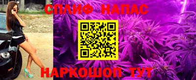 сатива Кандалакша