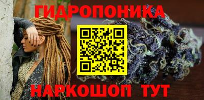 сатива Кандалакша