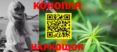 сатива Кандалакша