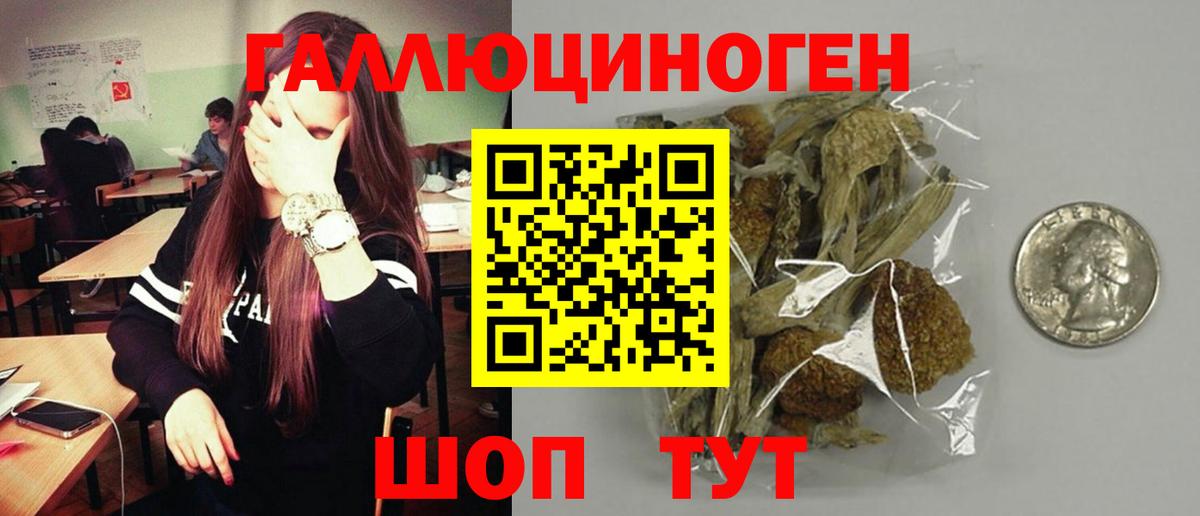 Арсеньев  Псилоцибиновые грибы Psilocybine cubensis  Галлюциногенные грибы Psilocybine cubensis  Вход с VPN 